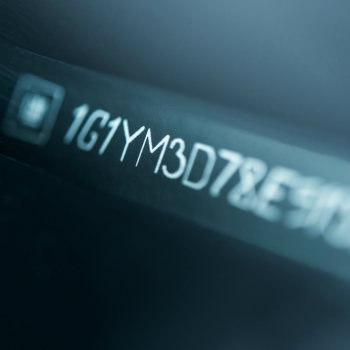 Out Of State Vehicles Santa Rosa