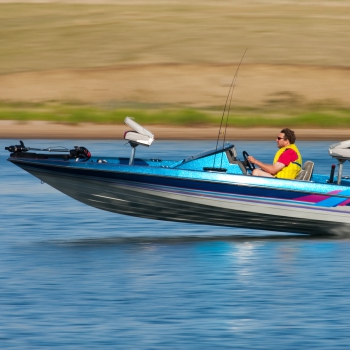 Dealers and Commercial DMV Services Santa Rosa