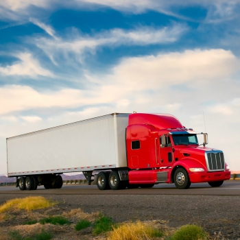 DMV Services Santa Rosa